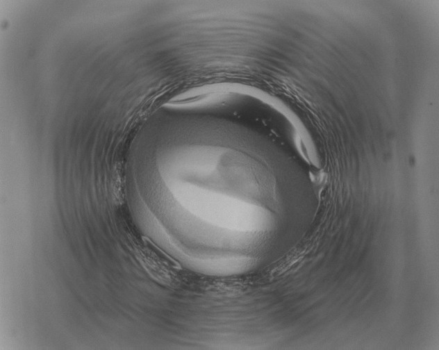 X0000072540868200608041620
