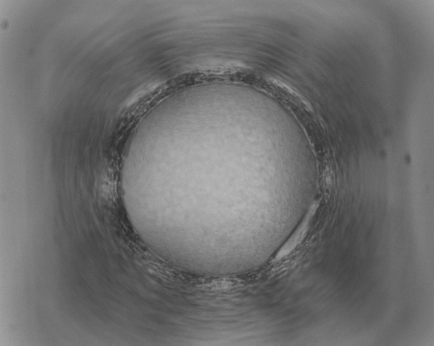 X0000072540869200608041620