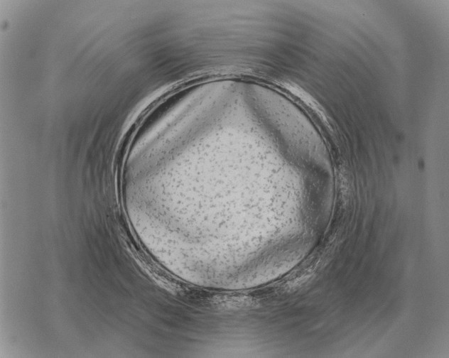 X0000072540886200608041619