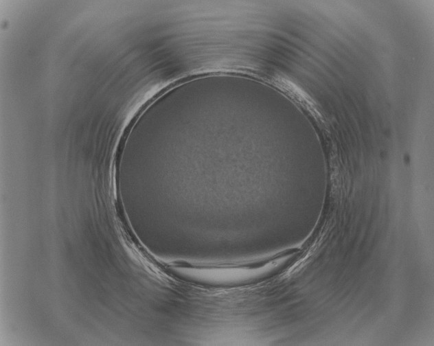 X0000072540892200608041619