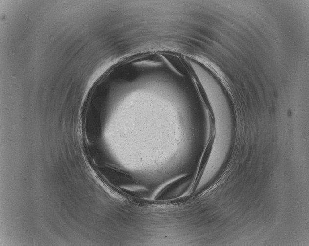X0000072540894200608041619
