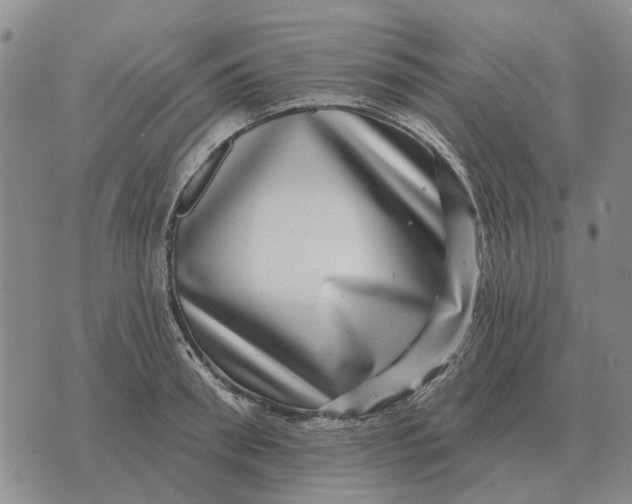 X0000072540898200608041619