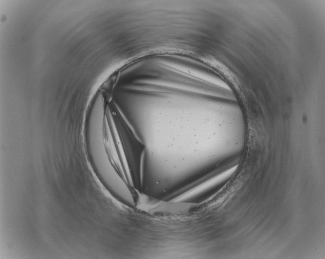 X0000072540902200608041619