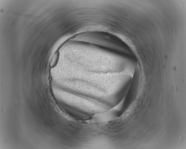 X0000072540912200608041619