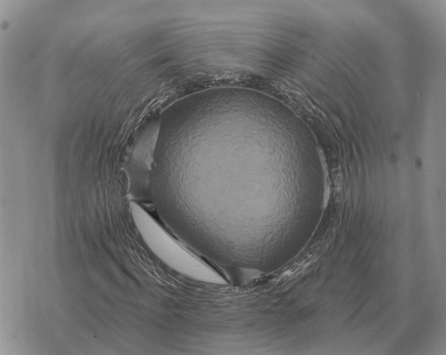 X0000072540916200608041618