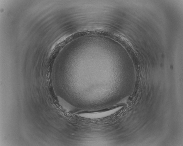 X0000072540920200608041618