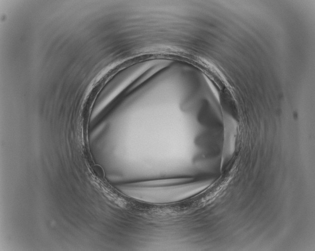X0000072540931200608041619