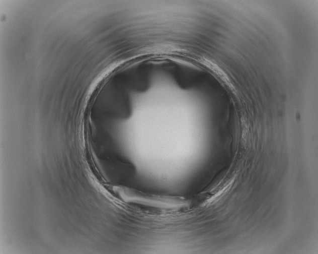 X0000072540939200608041619
