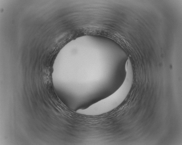 X0000072540964200608041618
