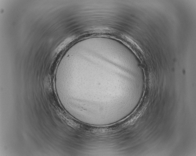 X0000072540970200608041618
