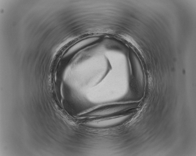 X0000072540971200608041618