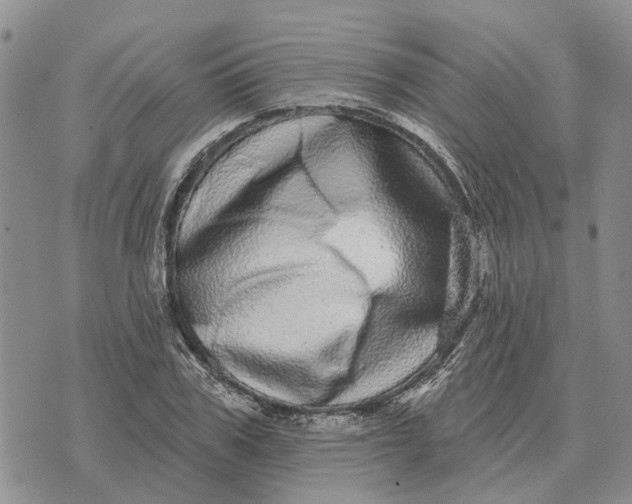 X0000072540979200608041618