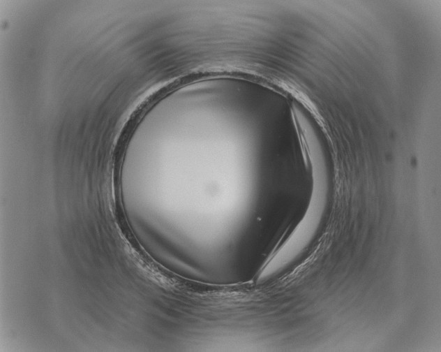 X0000072540984200608041618
