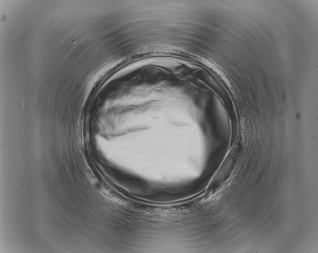 X0000072540987200608041618