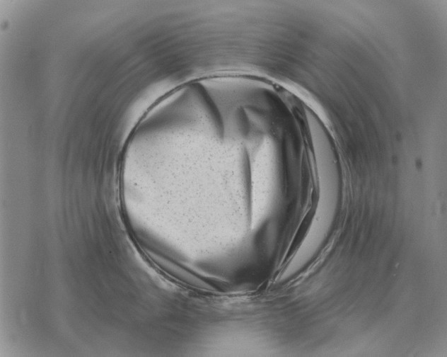 X0000072541006200608041617