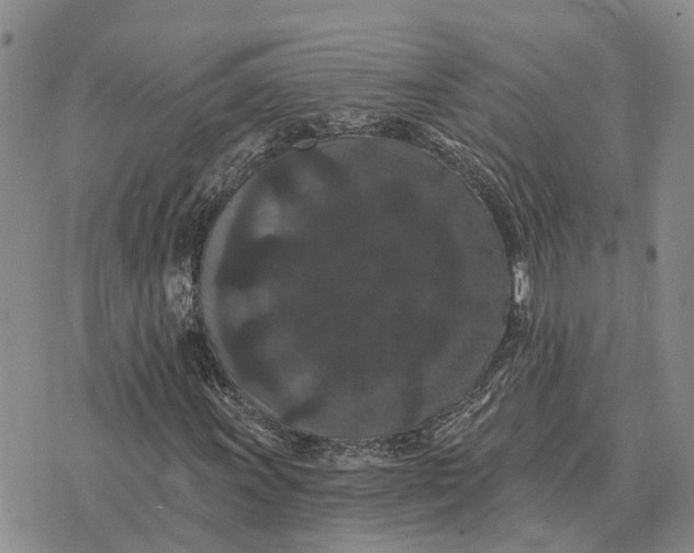 X0000072541011200608041617