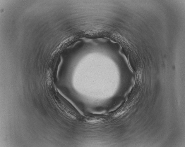 X0000072541012200608041617