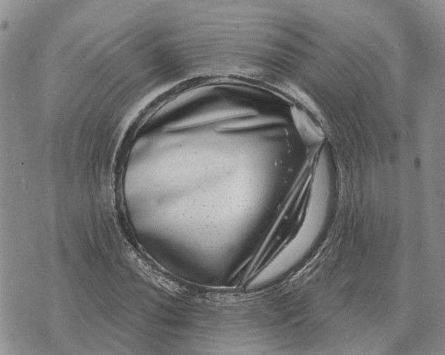 X0000072541020200608041617