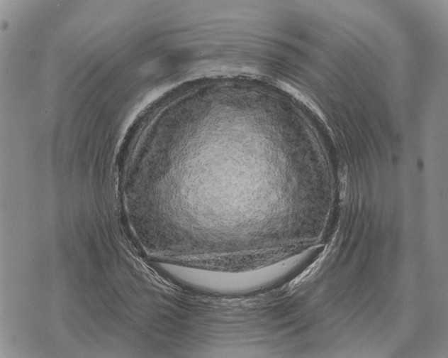 X0000072541021200608041617