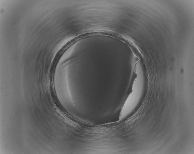 X0000072541024200608041617