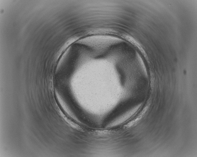 X0000072541041200608041617