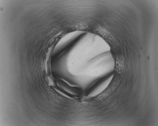 X0000072541058200608041617