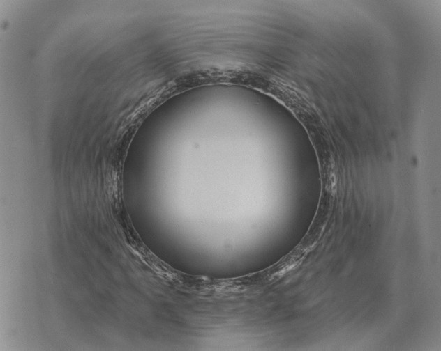X0000072541061200608041616