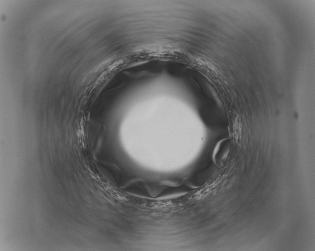 X0000072541062200608041616