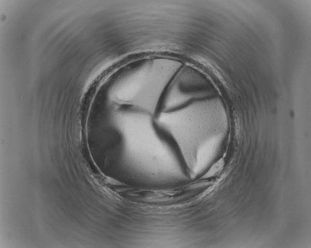 X0000072541069200608041616