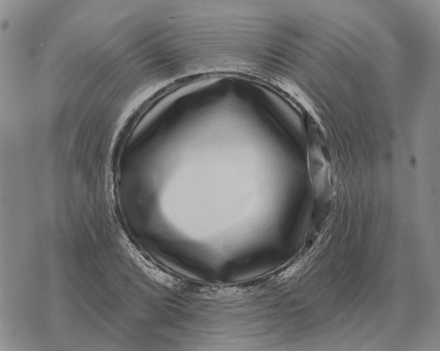 X0000072541072200608041616