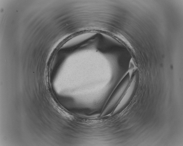 X0000072541076200608041616