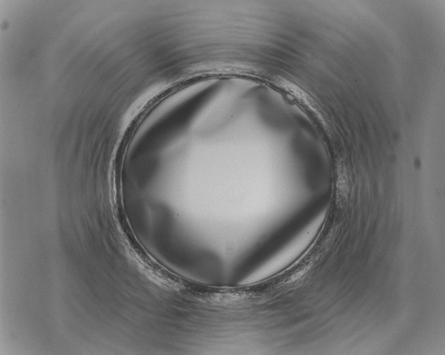 X0000072541082200608041616