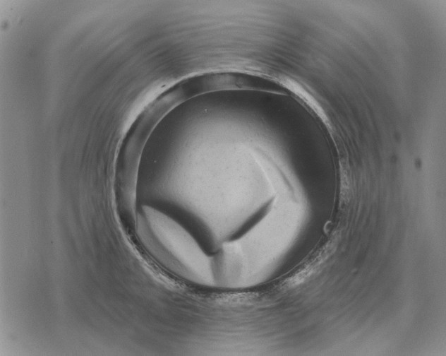 X0000072541093200608041616