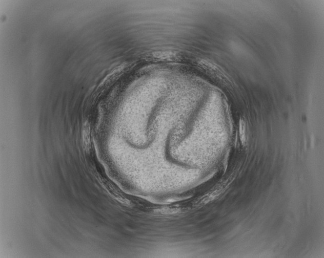 X0000072541107200608041615