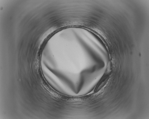 X0000072541119200608041615