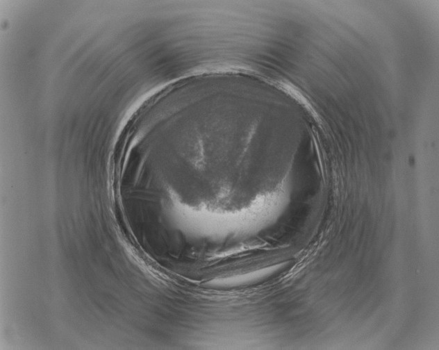 X0000072541124200608041615