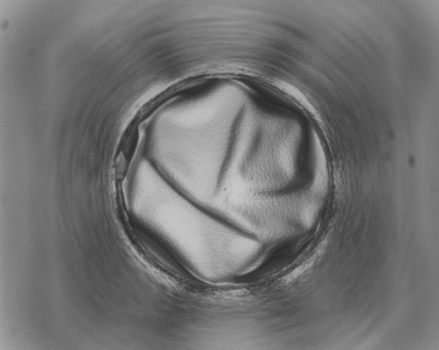 X0000072541133200608041615