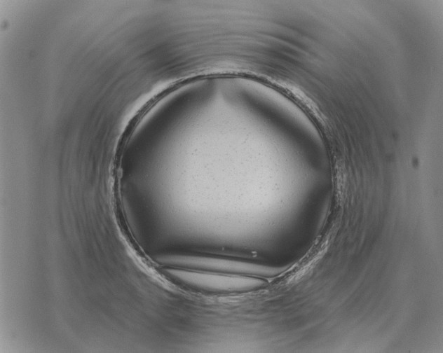 X0000072541134200608041615