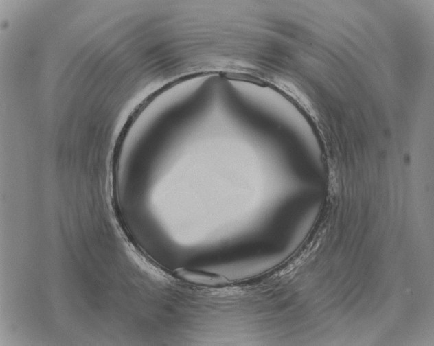 X0000072541136200608041615