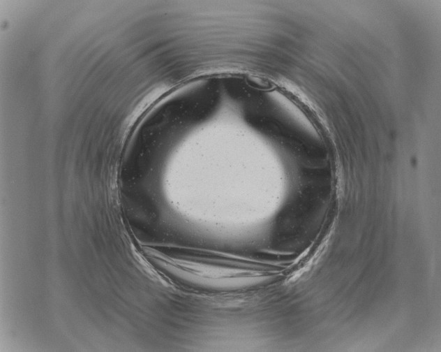 X0000072541137200608041616