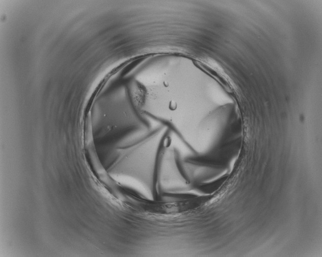 X0000072541140200608041616