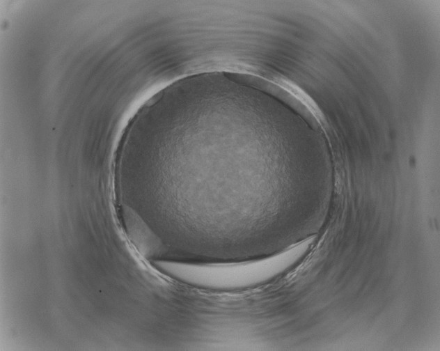 X0000072541144200608041616
