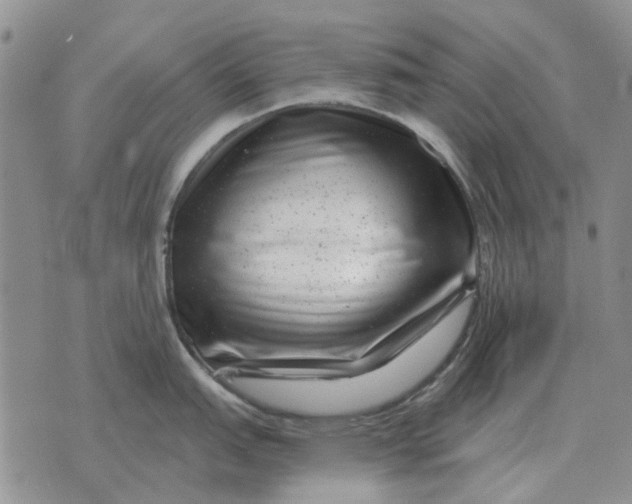 X0000072541151200608041616
