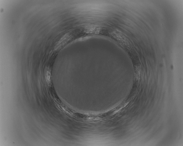 X0000072541154200608041615