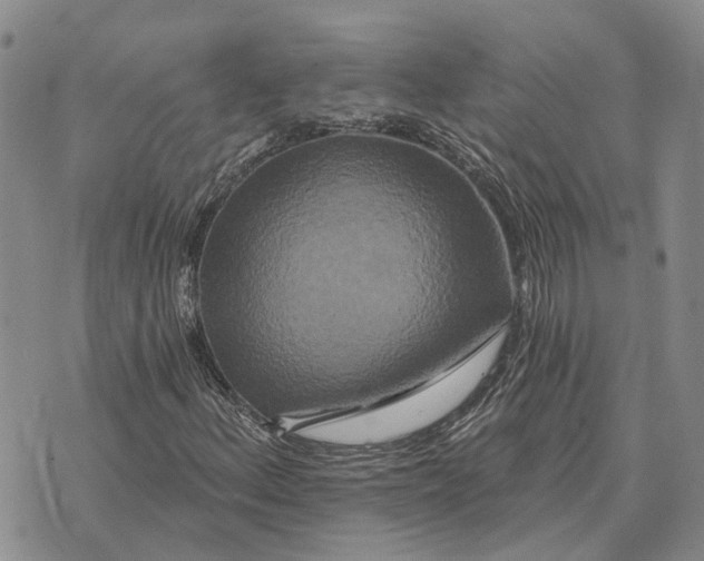 X0000072541156200608041615