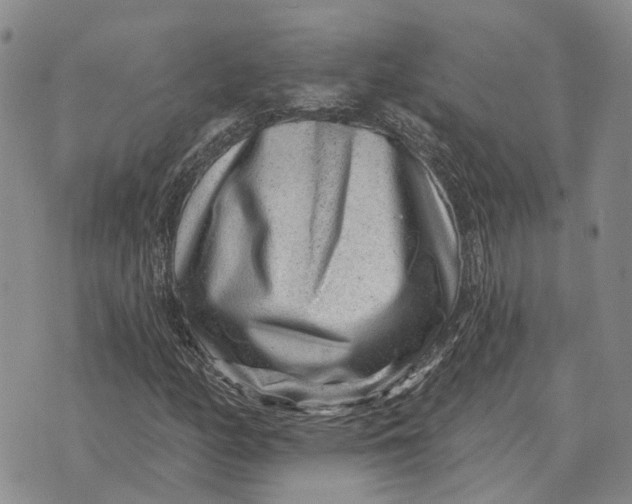 X0000072541158200608041615