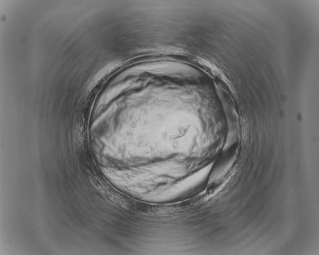 X0000072541163200608041615
