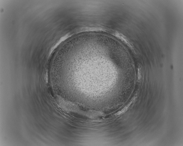 X0000072541165200608041615