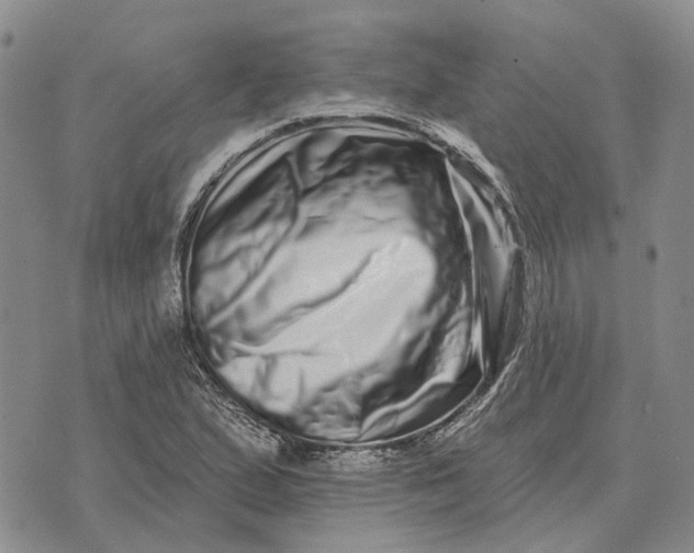 X0000072541167200608041615