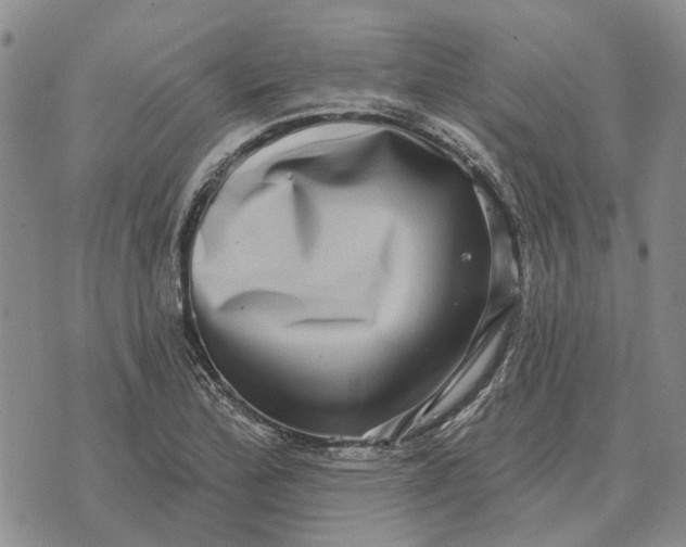 X0000072541172200608041615